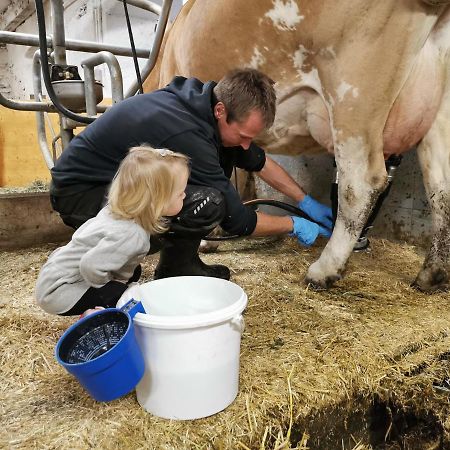 Landhaus Taurer Kals-am Großglockner Zewnętrze zdjęcie