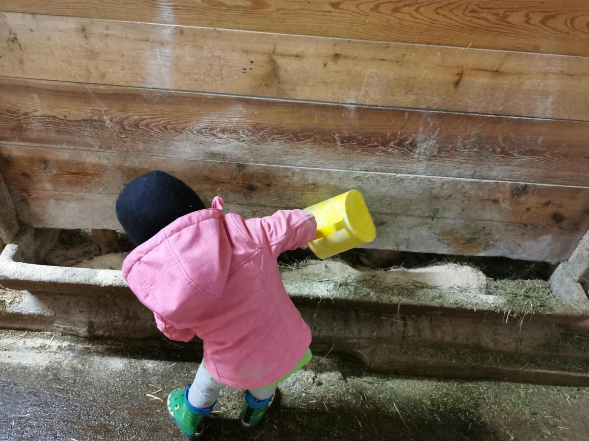 Landhaus Taurer Kals-am Großglockner Zewnętrze zdjęcie
