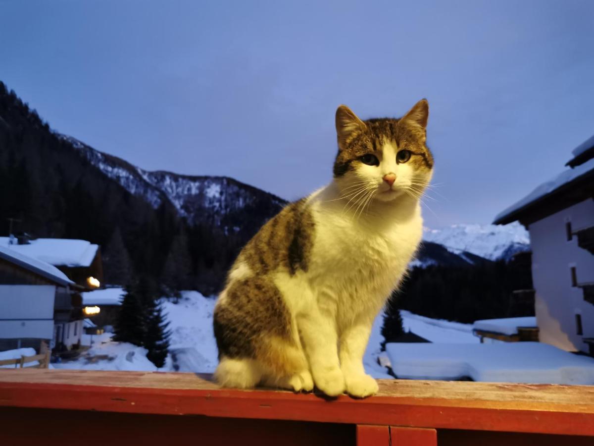 Landhaus Taurer Kals-am Großglockner Zewnętrze zdjęcie