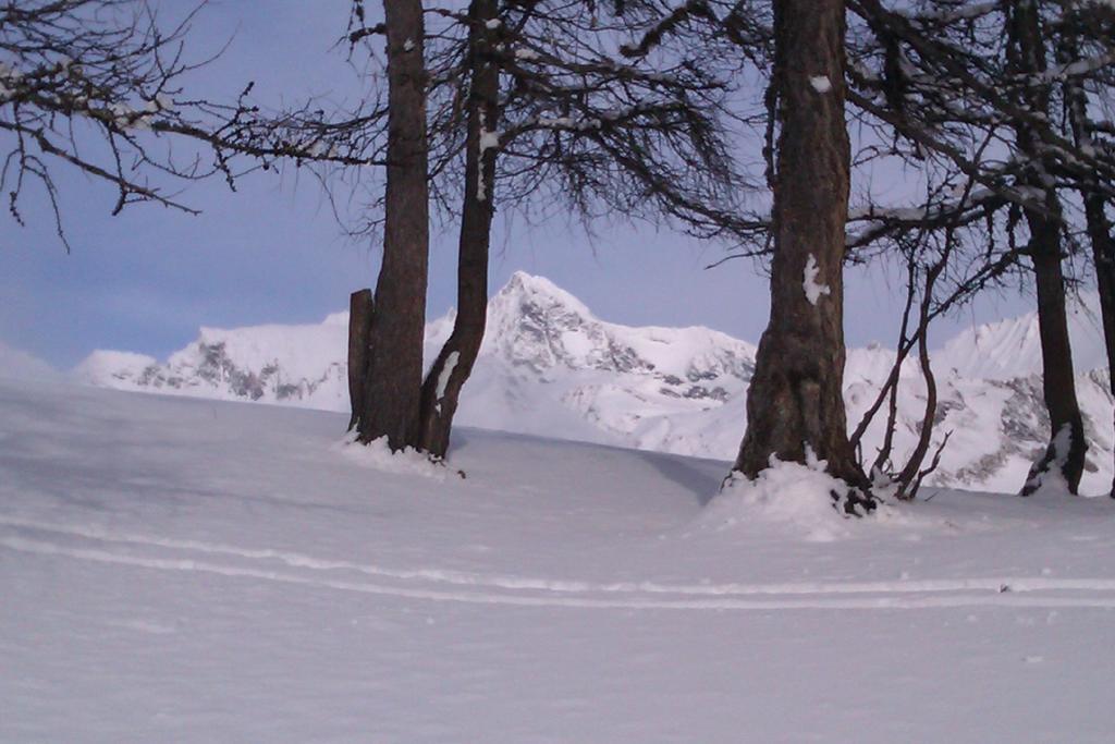 Landhaus Taurer Kals-am Großglockner Zewnętrze zdjęcie